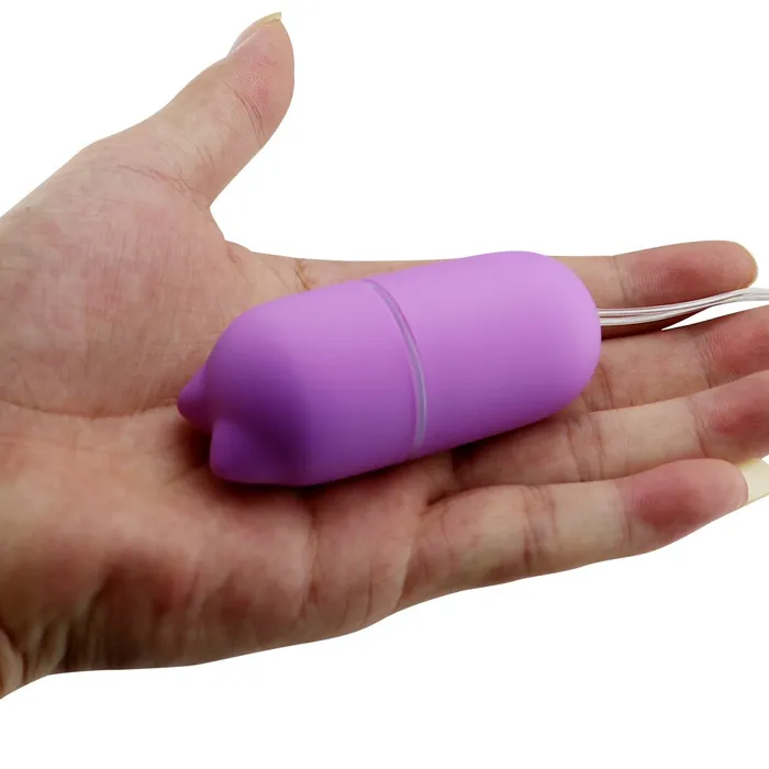 LAZADASEXTOYS Female Sex Toys Wearable Panty Vibrator Invisible Vibratings Pig Shape 10 Speeds Wireless Jump Eggs Clitoral Stimulation Anal Sex Toys for Woman